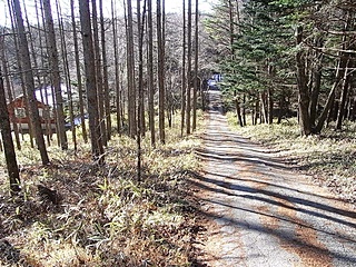現地（左）と前面公道