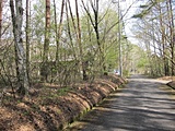 敷地（写真左）と前面私道