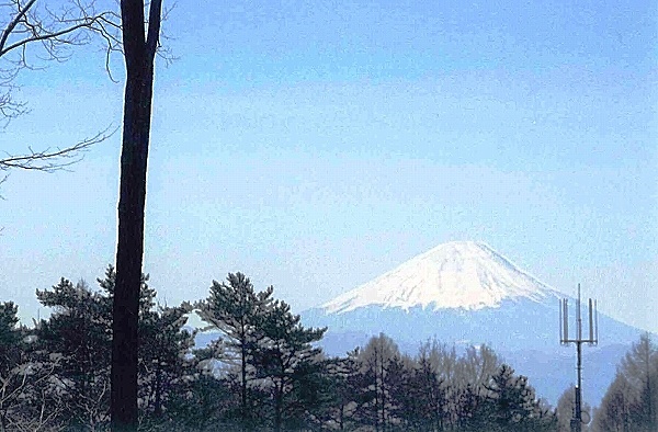 敷地から望む富士山