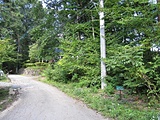 敷地（写真右側）と公道