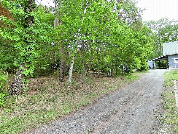 敷地（写真左側）と私道の様子