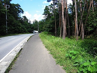 前面道路と敷地（写真右）